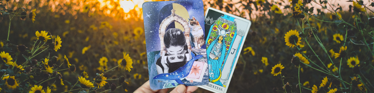 הכוהנת הגדולה טארוט